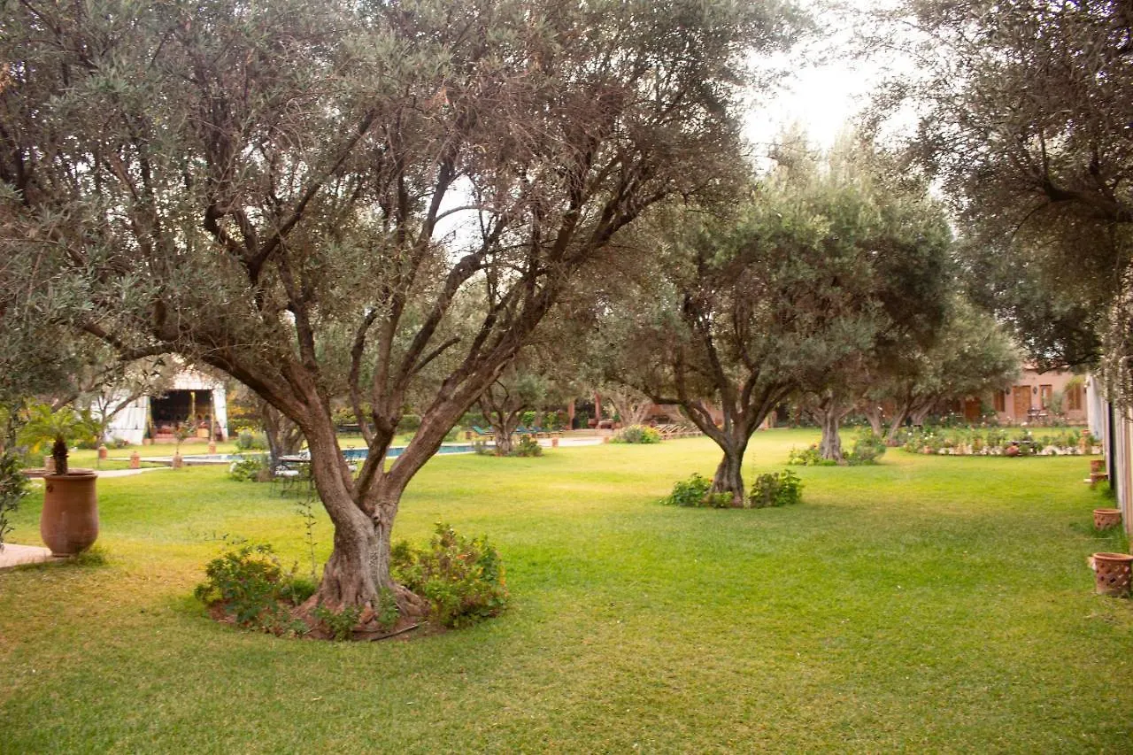 Greenlife Marrakech Marrakesh Guest house